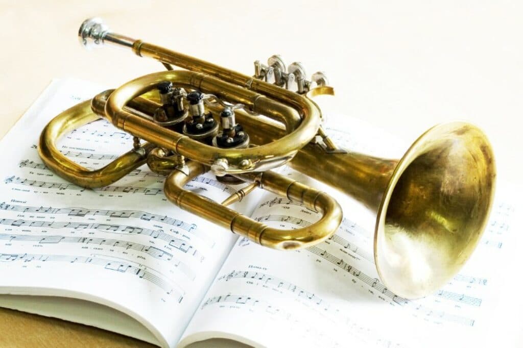 trumpet